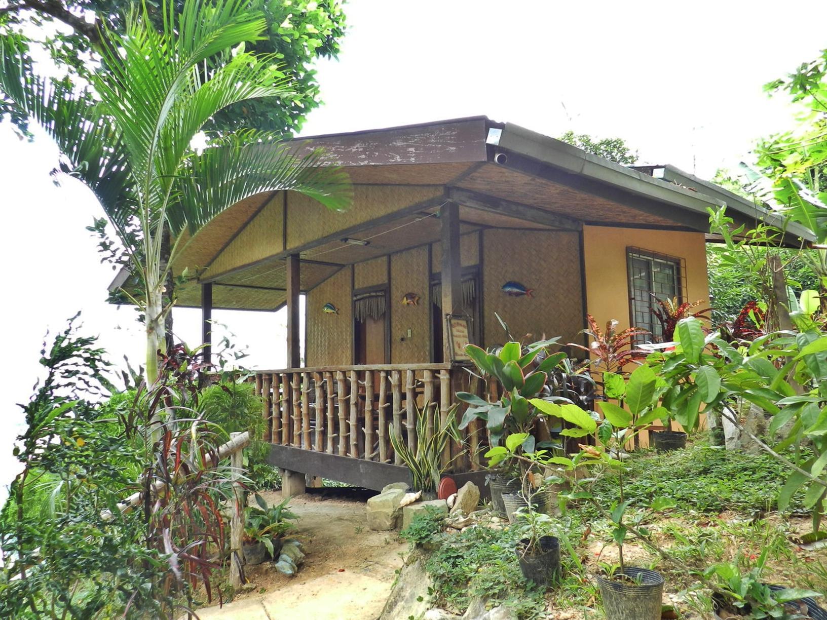 Elnido3