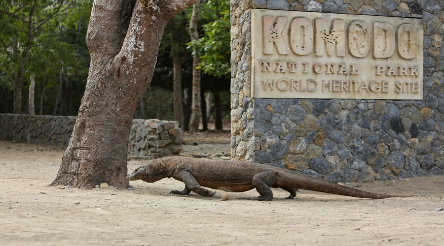 Narodni park Komodo