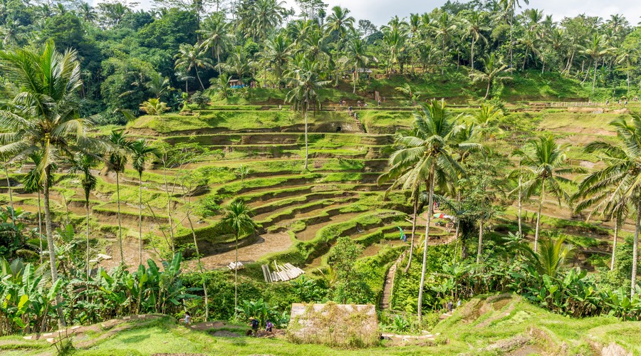 Ubud