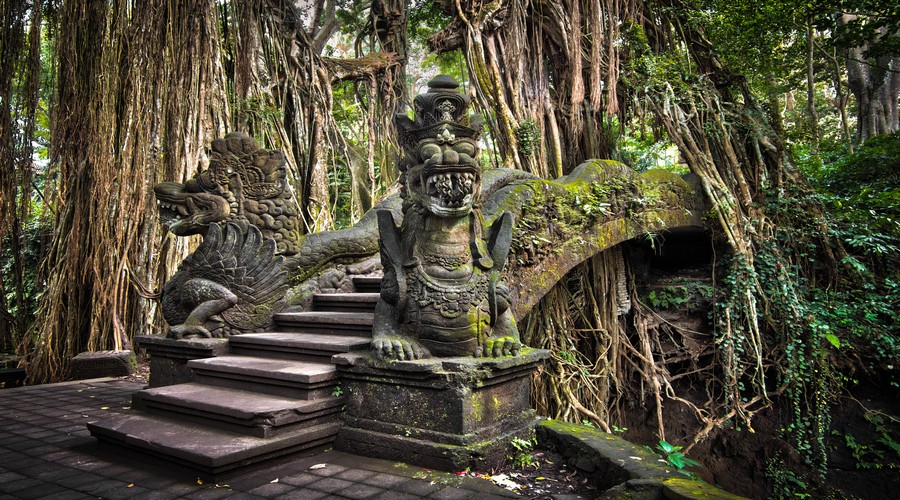 Ubud Monkey Forest