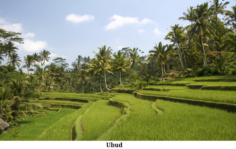 Ubud