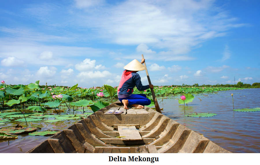 Delta Mekongu