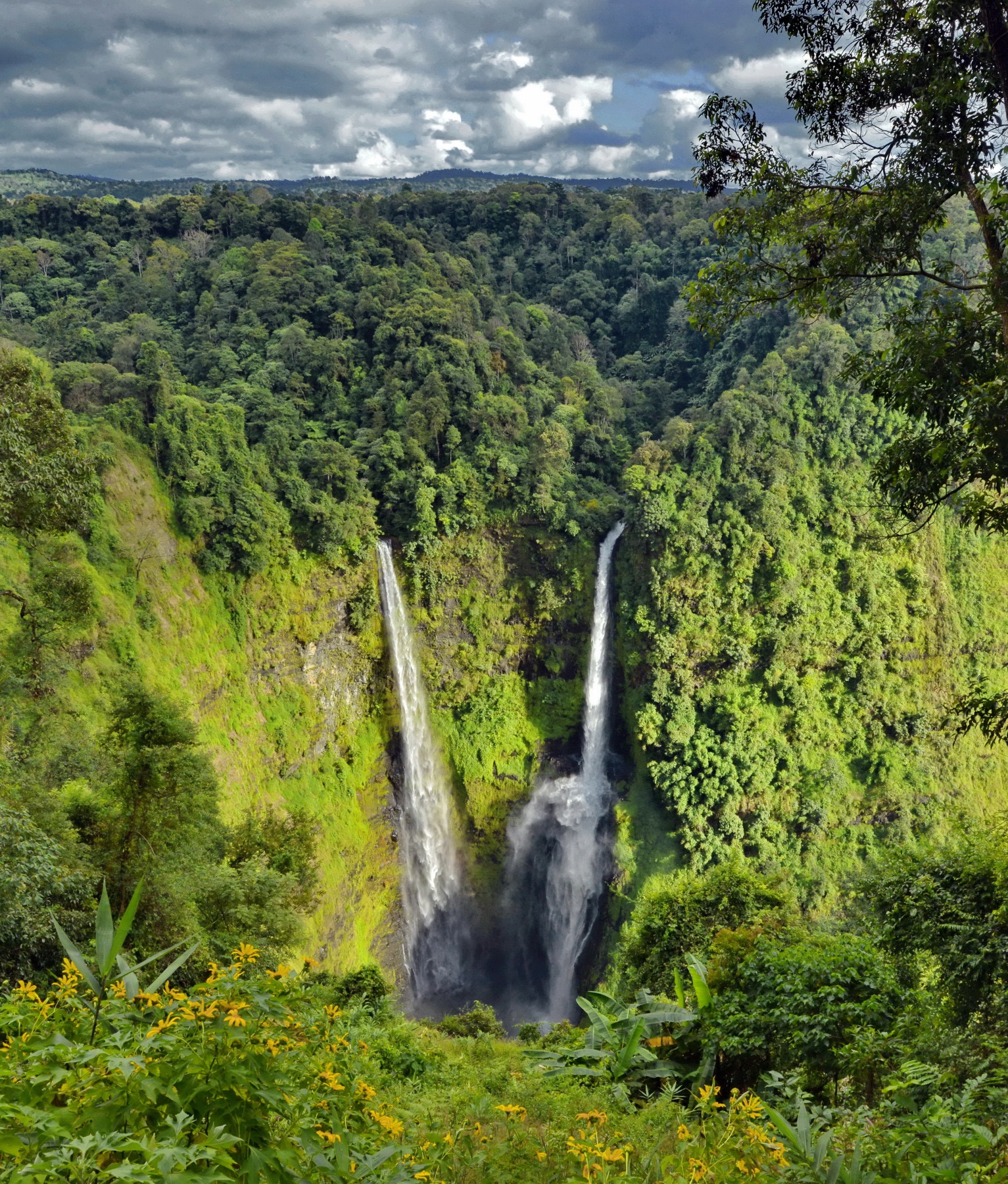 Bolaven Plateau