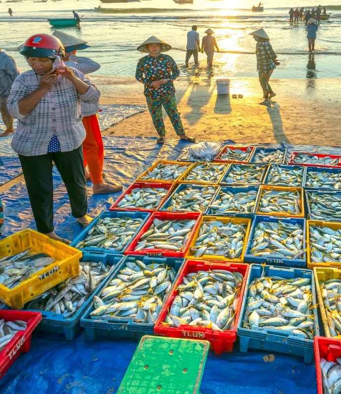 Rybářský trh
